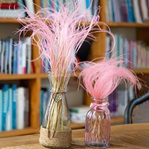 Herbe de la Pampa PPL65 Stipa à Couleurs Dégradées pour Décoration de Mariage et d'Intérieur – Fleur Éternelle pour Composition, Plume Naturelle - Product Image 1