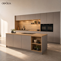 Îlot de cuisine commercial OPPOLIA, armoires de cuisine modernes modulaires personnalisées, prêtes à assembler, en laque, ensemble complet pour la maison