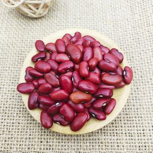 Fagioli rossi secchi all'ingrosso di buona qualità per l'esportazione - Product Image 2