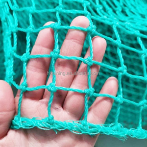 HDPE <strong>Plastic</strong> Chicken Fence Poultry <strong>Netting</strong> Soccer Sport <strong>Netting</strong> Golf Practice Trellis for Volleyball Court Baseball Field - Product Image 2