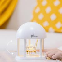 Lampe de chevet LED rechargeable personnalisée de style nordique avec projection de chat mignon USB, cadeau, lampe de nuit pour étude, décoration de la maison