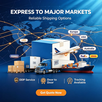 Expédition maritime de la Chine vers les États-Unis, le Canada, le Mexique, l'Europe, l'Australie, logistique porte-à-porte, agent d'expédition FBA Amazon, DDP, taxes incluses