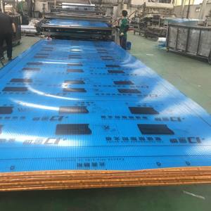 Láminas de <span class=keywords><strong>Policarbonato</strong></span> para Techos de 3mm-20mm, Paneles de <span class=keywords><strong>Policarbonato</strong></span>, Láminas Solares y Láminas de <span class=keywords><strong>Policarbonato</strong></span> con Relieve, Lámina de <span class=keywords><strong>Policarbonato</strong></span> de Doble Pared - Product Image 6