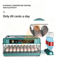 Incubateur entièrement automatique 6-128 œufs, retournement automatique, contrôle de la température pour poulets, canards, cailles