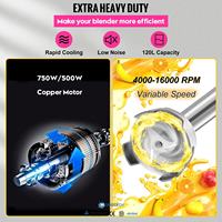 Mixeur Plongeant Commercial 500W Électrique Multifonctionnel avec Tige Amovible en Acier Inoxydable Réglable