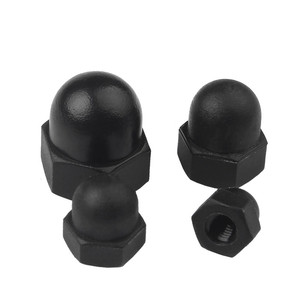 <span class=keywords><strong>Écrous</strong></span> hexagonaux en nylon, type acorn, à <span class=keywords><strong>tête</strong></span> bombée décorative, <span class=keywords><strong>pour</strong></span> la protection des goujons et boulons hexagonaux - Product Image 5