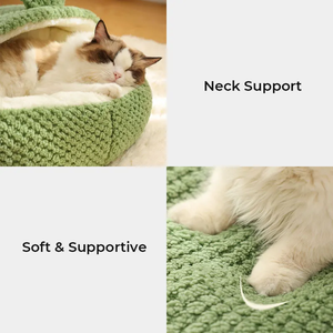 Köstliches Frosch-Haustierbett rundes weiches Plüschbett Katzenhöhle Nest Hundeshaus wärmend gemütlich Karikaturen Frosch-Haustierbett - Product Image 3