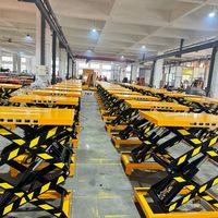 Table élévatrice à ciseaux électrique personnalisée WEMALiFT Pallet Pioneer, plateforme élévatrice pour handicapés en acier Q235