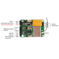 Control Remoto Maytech MTSKR1905WF V3.0 para Tabla de Surf Eléctrica y Mountainboard, Resistente al Agua, Señal PWM, Efoil, Jetsurf