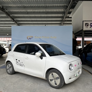 2019 trắng bên ngoài và màu đen nội thất Ora R1 sử dụng Mini Xe điện - Product Image 1