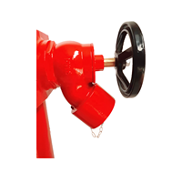 Hydrant d'incendie à double sortie ANSU, type humide, avec vannes, en fonte, DN100, 435 PSI