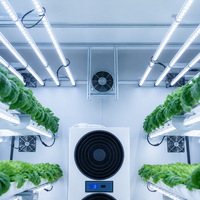 Système d'Aquaponie Commerciale OEM 2026 pour Serre, Étagère Hydroponique Verticale, Culture en Eau Profonde, Lampe de Croissance LED, Pompe Haute Performance
