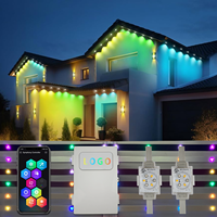 Twinklight Pixel RGBW LED Lumières de Noël Étanche 48V Alimentation Compatible Corps de lampe en PVC Durable pour les affichages de vacances