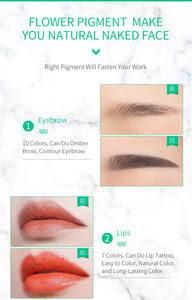 Jidragonカラーリップアイリキッド化粧品マイクロブレード化粧品タトゥーインクOEMメーカー - Product Image 4