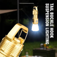 Lampe torche LED portable haute puissance pour le camping, avec luminosité solaire réglable par USB, corps en ABS, outil de survie