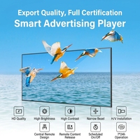 Pantalla LED Interior Resistente al Agua IP65 de 1000*1000mm, 500cd/m de Brillo, 1 Año de Garantía, Venta al Por Mayor del Fabricante, Personalizable