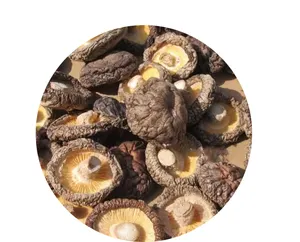Selected Mushroom High Quality Dried Shiitake Mushroom