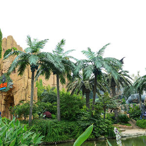 Grand cocotier artificiel personnalisé de 4,5 m, courbé, ignifuge, faux cocotier pour la décoration d'hôtels, de restaurants, de villas et de centres commerciaux - Product Image 3