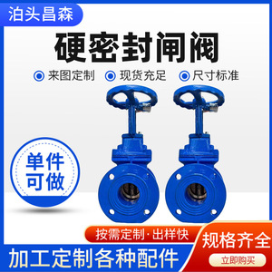 Vanne à opercule manuelle à joint rigide en fonte ductile pour eau, pression moyenne, température normale, type interrupteur bidirectionnel - Product Image 3