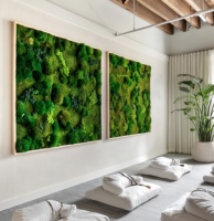 Cadre mural 3D en mousse naturelle véritable, couleur et taille personnalisables, mousse stabilisée, décoration pour la fête des mères, la remise des diplômes, la maison/le bureau