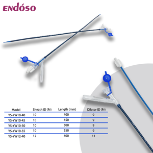 PTFE Material Hidrofílico Revestimento Descartável Ureteral Acesso Bainha com Serilização Fabricante Preço - Product Image 5