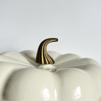 Pot à citrouille en fonte au design moderne, matériau métallique durable à double poignée pour la cuisine à domicile, ensemble de cuisine en émail à fond d'induction