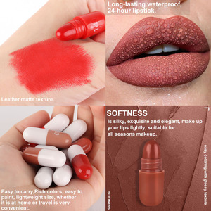 DNM 18 colores Mini cápsula estilo lápiz labial terciopelo mate lápices labiales conjunto viaje tamaño tinte alto pigmento cosméticos - Product Image 3