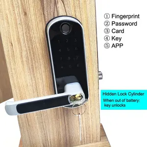 High Security Keyless Entry Door Lock Home Security Fingerprint Password Electronic Key Office Ttlock Password Smart Door Lock