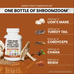 <span class=keywords><strong>Capsule</strong></span> di Miscela di Funghi Ricche di Criniera di Leone, Coda di Tacchino, Reishi, Chaga e Cordyceps per Regolare il Sistema Immunitario - Product Image 4