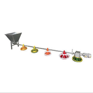 Équipement de volaille en acier automatique Ligne d'alimentation pour ferme de poulets Prix d'usine Poule en plastique Femelle État neuf - Product Image 3