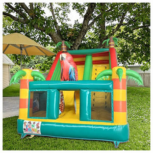 <span class=keywords><strong>Castillo</strong></span> Inflable para Exteriores de 4*6*5m de PVC con Tobogán, <span class=keywords><strong>Casa</strong></span> Brincolina con Tobogán, <span class=keywords><strong>Casa</strong></span> Saltarina para Interiores en Alquiler - Product Image 2