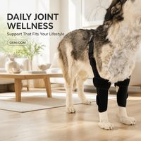 Attelle de genou pour chien, double support pour pattes avant, réglable, rembourrée, anti-rayures, avec sangle d'épaule, pour grands chiens, en polyester