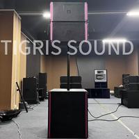 Altavoces Activos de Arreglo Lineal TG ST8 de 12 Pulgadas, Sonido para Conciertos, Bodas, Escenarios, Sistema de Sonido de Alta Potencia