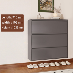 Lemari Sepatu Besar, Tahan Korosi, Berkapasitas Tinggi, dan Dapat Dikunci dari Eropa Utara, Warna Abu-abu Tua, dengan Tiga Lapis. - Product Image 2