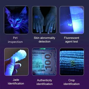 USB recargable 200W 10X LED 365nm <span class=keywords><strong>linterna</strong></span> UV de alta potencia Blacklight antorcha para mascota orina mancha escorpión dinero impermeable AA - Product Image 6