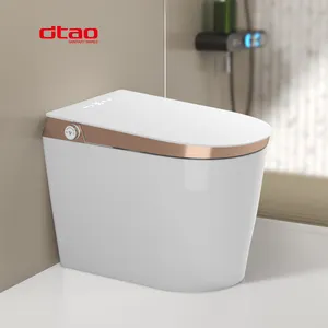 Nouveaux appareils sanitaires en céramique Intelligent automatique bidet en céramique cuvette de toilette électrique salle de bain WC toilette intelligente
