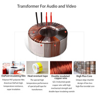 Transformador Toroidal Personalizado OEM para Amplificador, 250W, Múltiples Salidas Secundarias 12v 6v 18v, Núcleo CRGO, Certificado CE, Bajo Ruido