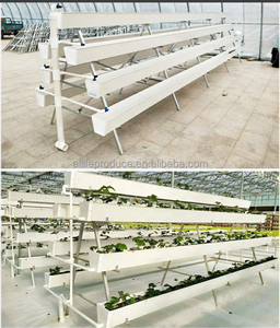 Nft Grow <span class=keywords><strong>Gouttière</strong></span> Système d'agriculture verticale Plantation de fraises Gully Cultivation Cultivation <span class=keywords><strong>Pot</strong></span> de fraises - Product Image 5
