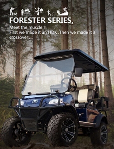 Nuevo producto 4 plazas Near Me Off Road Buggy a la venta HDK EVOLUTION Luxury 48V Electric Golf Cart - Product Image 3