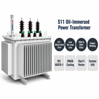 Transformateur de puissance immergé dans l'huile Wanbo-509 S11, enroulement en cuivre ONAN 10kV 35kV Dyn11 IEC 60076 KVA personnalisé