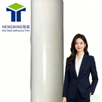 HN Tamaños Personalizados, Ropa Interior sin Costuras, Traje de Unión, Camisa, Entretela Fusible, Adhesivo Termoactivado, Película Adhesiva de Fusión en Caliente, Cinta de Tela