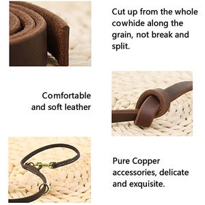 Guinzaglio Retrattile per Cani, Guinzaglio Multifunzione in Pelle per Animali Domestici, Guinzaglio da Addestramento Mani Libere con Due Ganci per Uno o Due Cani - Product Image 2