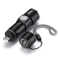 Lampu UV IPX5 tahan air untuk anjing, lampu UV 395nm led portabel 400nm Mini detektor untuk noda Urine hewan peliharaan