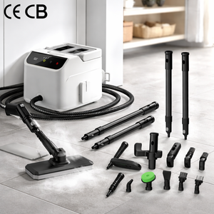 Professional Hybrid Steam Mode Touch <b>Screen</b> Detachable Tank Instant Heating Steam Cleaner for Efficient Sterilization - Product Image 6