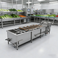 Ultrasoon reinigingsapparaat voor fruit en groenten, geschikt voor het wassen van druiven, kersen en tomaten