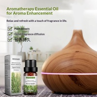 Huile Essentielle Hydrosoluble pour Humidificateur, Arômes Lavande et Rose, 10ML, Fujian, Modèle 2A, Vente en Gros Usine, Transfrontalier