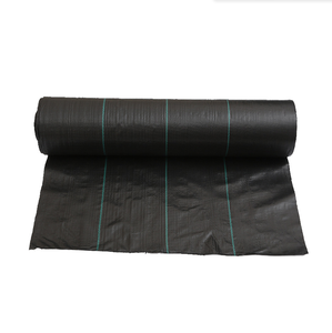 <span class=keywords><strong>Géotextile</strong></span> tissé moderne en HDPE / Couverture du sol / Barrière <span class=keywords><strong>anti</strong></span>-mauvaises herbes / Tapis de contrôle pour l'agriculture / Jardin / Paysage - Product Image 6