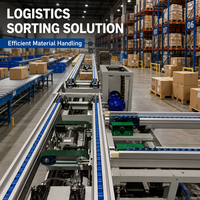 Trasportatore a Catena per Pallet per Smistamento e Trasferimento di Celle di Batterie, Catena a Doppia Velocità