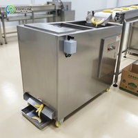 Automatische bananenverwerkingsapparatuur voor chips- en pureeproductie, bananenpelschilmachine