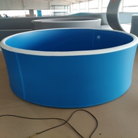 Matériel de point de chute en PVC de haute qualité personnalisé piscine d'eau extérieure portable de grande taille piscine gonflable pour enfants